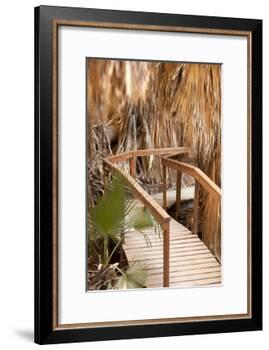 Palm Pathway II-Karyn Millet-Framed Photographic Print