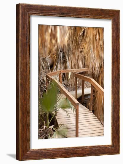 Palm Pathway II-Karyn Millet-Framed Photographic Print