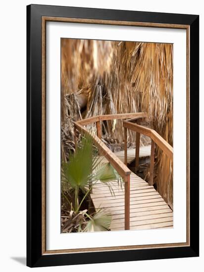 Palm Pathway II-Karyn Millet-Framed Photographic Print