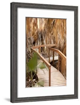 Palm Pathway II-Karyn Millet-Framed Photographic Print