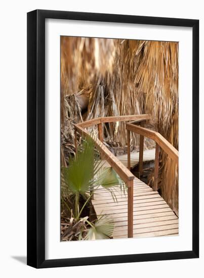 Palm Pathway II-Karyn Millet-Framed Photographic Print