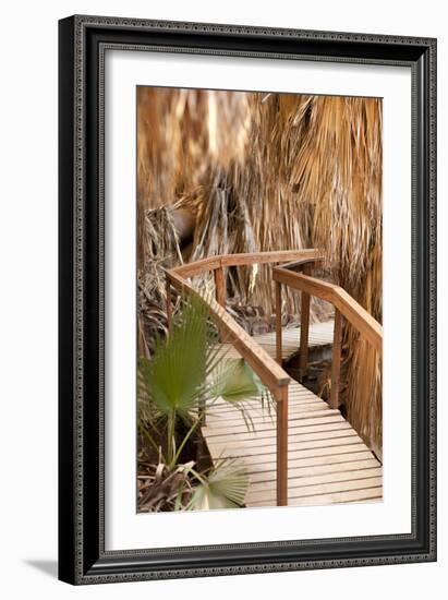 Palm Pathway II-Karyn Millet-Framed Photographic Print