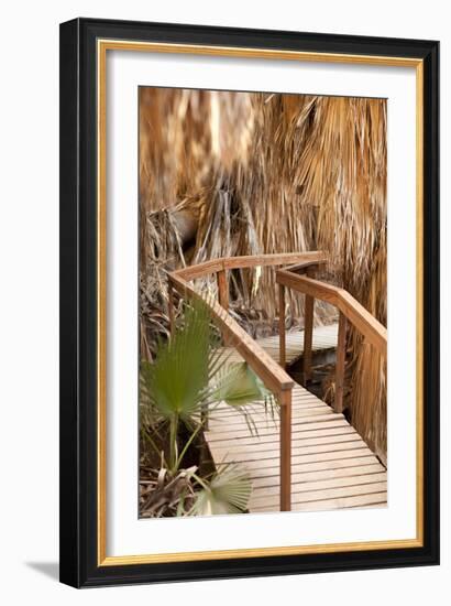 Palm Pathway II-Karyn Millet-Framed Photographic Print