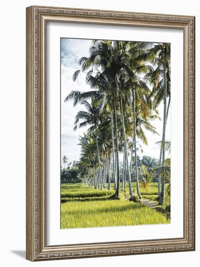 Palm Pathway-Joseph Eta-Framed Giclee Print