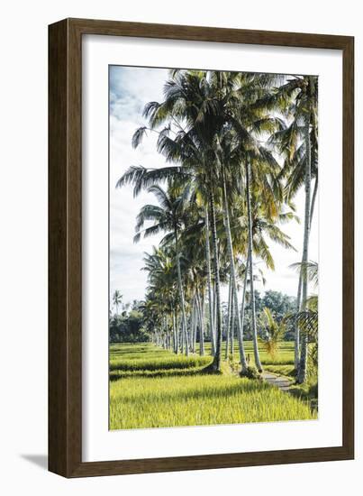 Palm Pathway-Joseph Eta-Framed Giclee Print