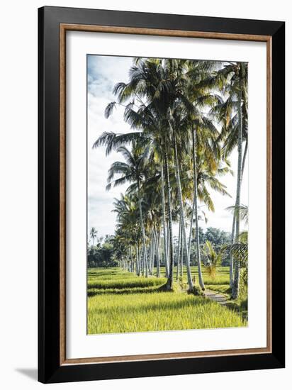 Palm Pathway-Joseph Eta-Framed Giclee Print