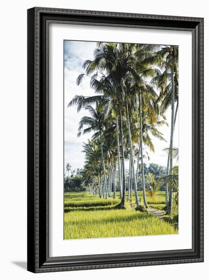 Palm Pathway-Joseph Eta-Framed Giclee Print