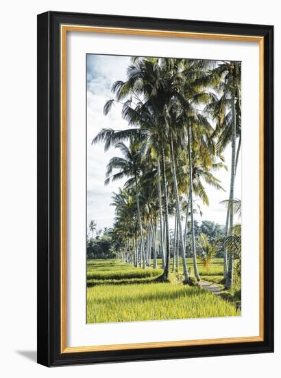 Palm Pathway-Joseph Eta-Framed Giclee Print