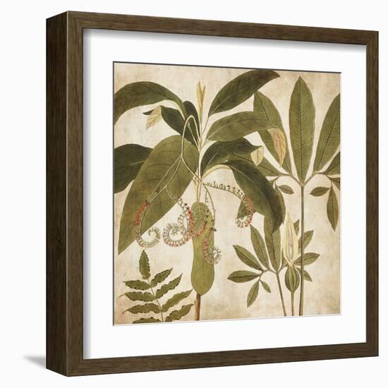 Palm Persuasion I-Chris Donovan-Framed Art Print