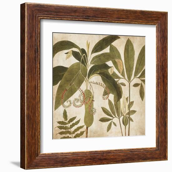 Palm Persuasion I-Chris Donovan-Framed Art Print