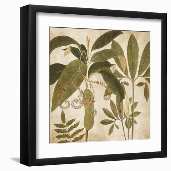 Palm Persuasion I-Chris Donovan-Framed Art Print