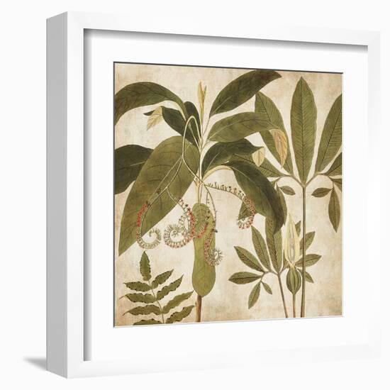 Palm Persuasion I-Chris Donovan-Framed Art Print