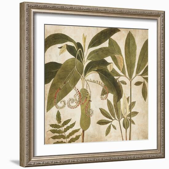 Palm Persuasion I-Chris Donovan-Framed Art Print