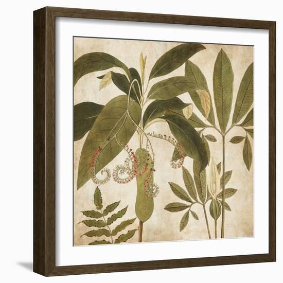 Palm Persuasion I-Chris Donovan-Framed Art Print