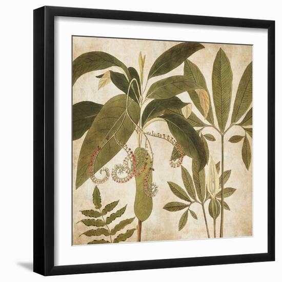 Palm Persuasion I-Chris Donovan-Framed Art Print