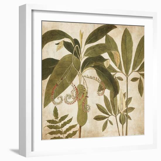 Palm Persuasion I-Chris Donovan-Framed Art Print