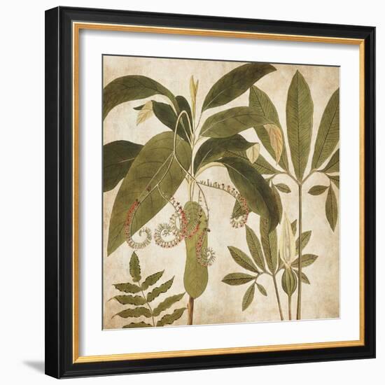 Palm Persuasion I-Chris Donovan-Framed Art Print