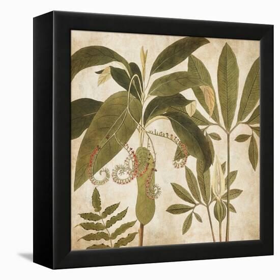 Palm Persuasion I-Chris Donovan-Framed Stretched Canvas