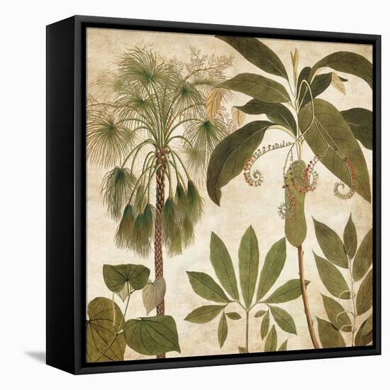 Palm Persuasion II-Chris Donovan-Framed Stretched Canvas