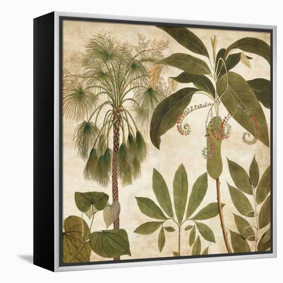 Palm Persuasion II-Chris Donovan-Framed Stretched Canvas