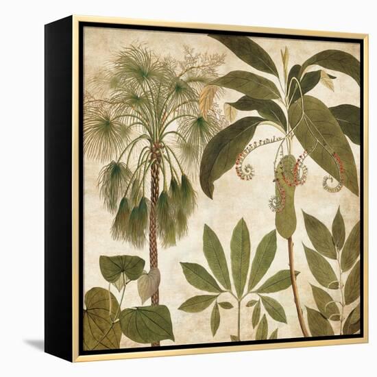 Palm Persuasion II-Chris Donovan-Framed Stretched Canvas