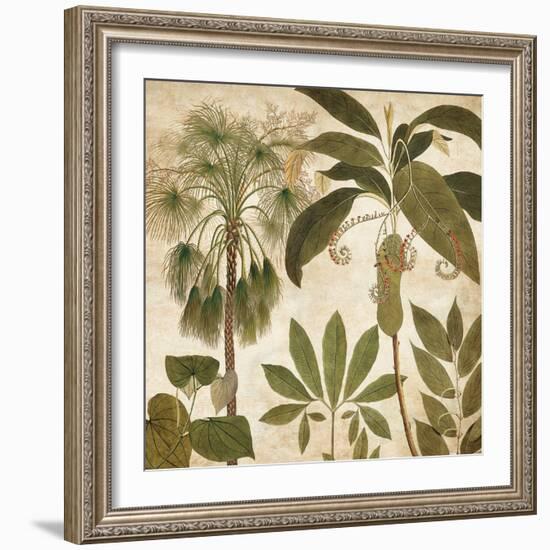 Palm Persuasion II-Chris Donovan-Framed Art Print