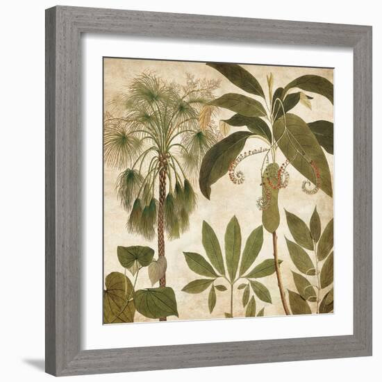 Palm Persuasion II-Chris Donovan-Framed Art Print