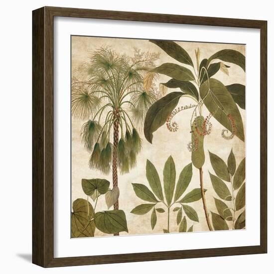 Palm Persuasion II-Chris Donovan-Framed Art Print