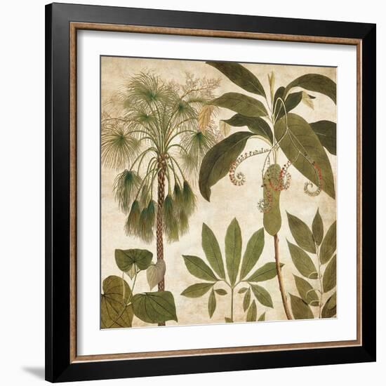 Palm Persuasion II-Chris Donovan-Framed Art Print