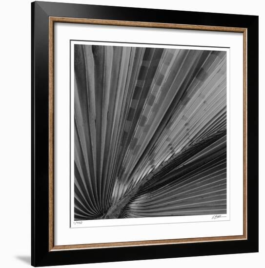 Palm Pleats-Edward Asher-Framed Giclee Print