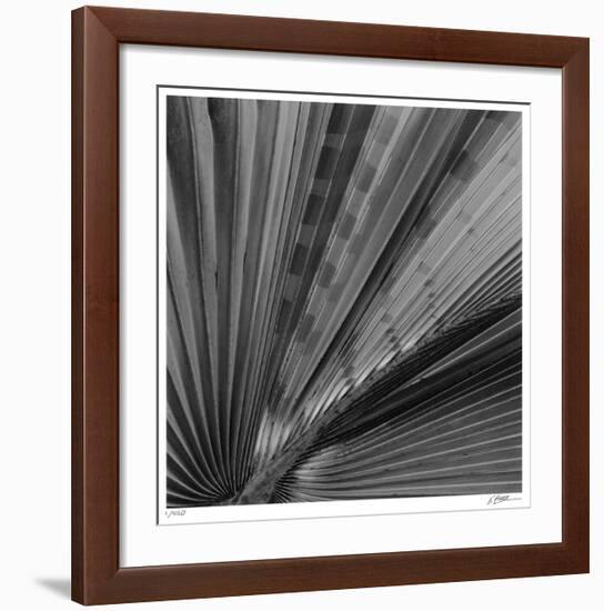 Palm Pleats-Edward Asher-Framed Giclee Print