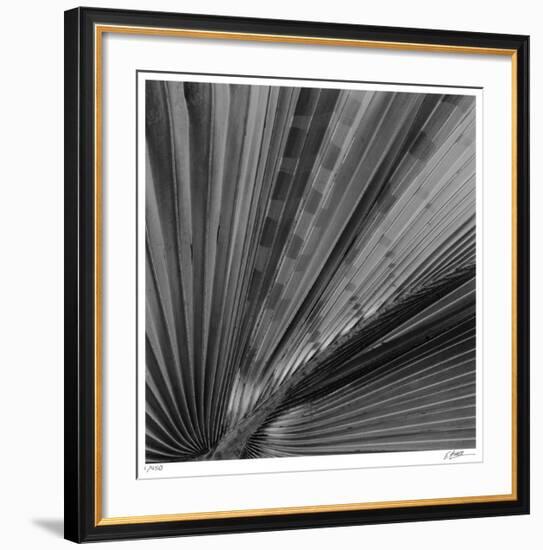 Palm Pleats-Edward Asher-Framed Giclee Print