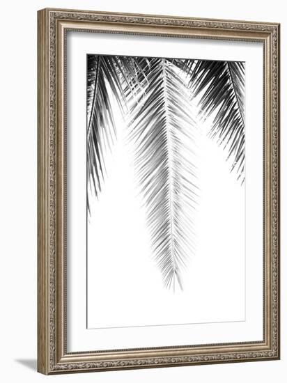 Palm Revive Noir-Irene Suchocki-Framed Giclee Print