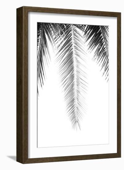 Palm Revive Noir-Irene Suchocki-Framed Giclee Print