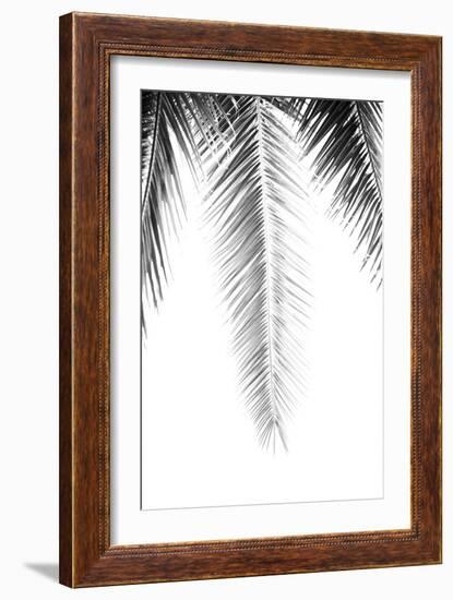 Palm Revive Noir-Irene Suchocki-Framed Giclee Print