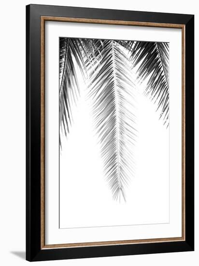 Palm Revive Noir-Irene Suchocki-Framed Giclee Print