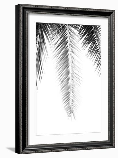 Palm Revive Noir-Irene Suchocki-Framed Giclee Print