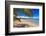 Palm Shadow II-George Oze-Framed Photographic Print