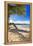 Palm Shadow, Loiza, Puerto Rico-George Oze-Framed Premier Image Canvas