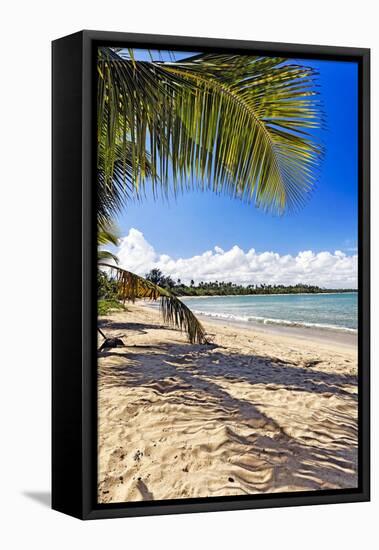 Palm Shadow, Loiza, Puerto Rico-George Oze-Framed Premier Image Canvas