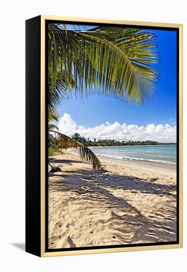 Palm Shadow, Loiza, Puerto Rico-George Oze-Framed Premier Image Canvas