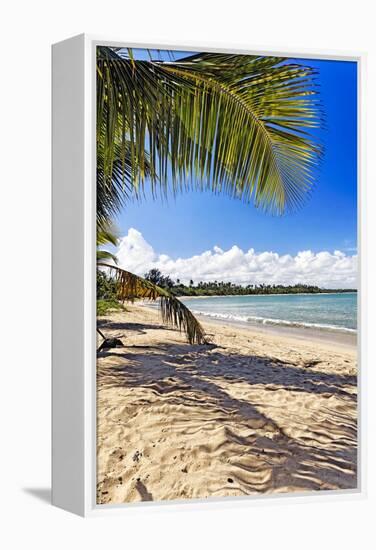 Palm Shadow, Loiza, Puerto Rico-George Oze-Framed Premier Image Canvas