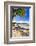 Palm Shadow, Loiza, Puerto Rico-George Oze-Framed Photographic Print