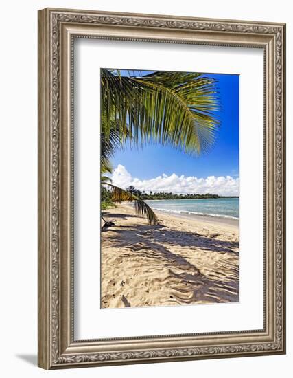 Palm Shadow, Loiza, Puerto Rico-George Oze-Framed Photographic Print