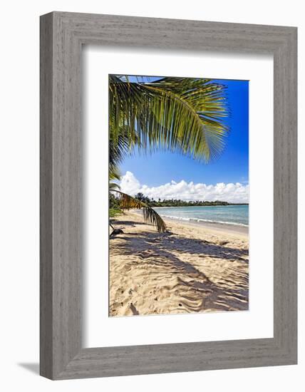 Palm Shadow, Loiza, Puerto Rico-George Oze-Framed Photographic Print