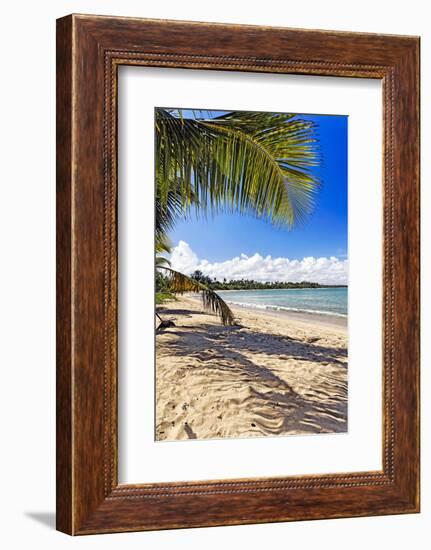 Palm Shadow, Loiza, Puerto Rico-George Oze-Framed Photographic Print