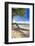 Palm Shadow, Loiza, Puerto Rico-George Oze-Framed Photographic Print