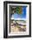 Palm Shadow, Loiza, Puerto Rico-George Oze-Framed Photographic Print