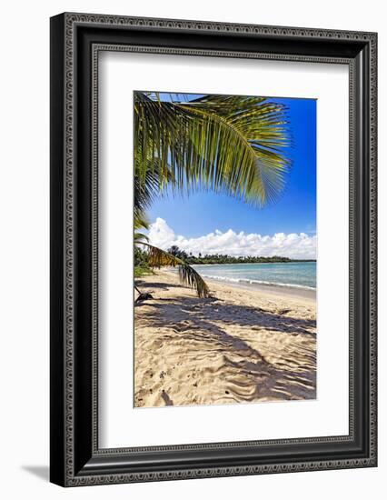 Palm Shadow, Loiza, Puerto Rico-George Oze-Framed Photographic Print