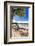 Palm Shadow, Loiza, Puerto Rico-George Oze-Framed Photographic Print